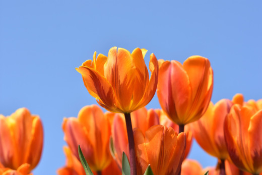 1453793 (a): :2048x1365